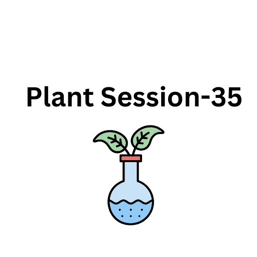 Plant Session-35